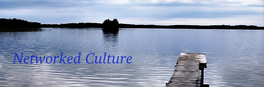 Networked Culture